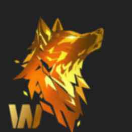 W Coin